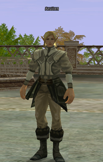NPC Arujien Lineage 2