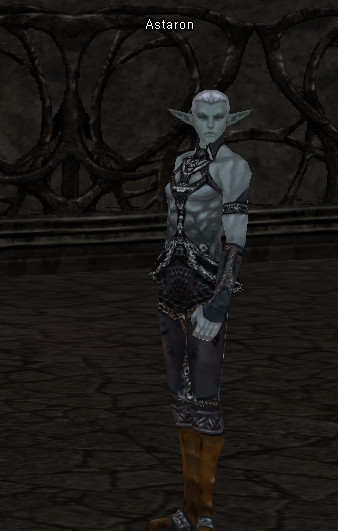 NPC Astaron Lineage 2