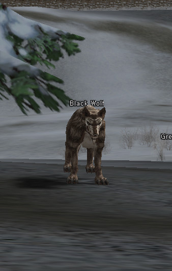 NPC Черный Волк Lineage 2