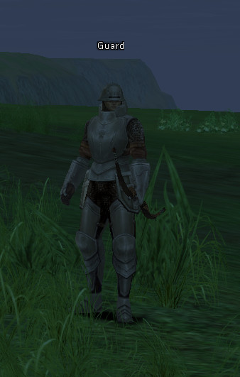 NPC Страж Lineage 2