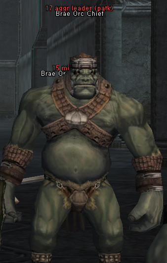NPC Brae Orc Chief Lineage 2