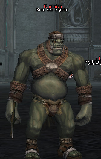 NPC Brae Orc Fighter Lineage 2