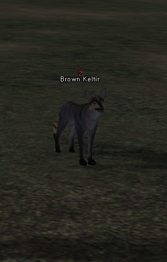 NPC Бурый Шакал Lineage 2