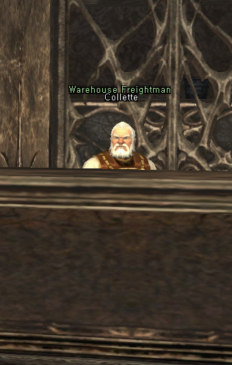 NPC Collette Lineage 2