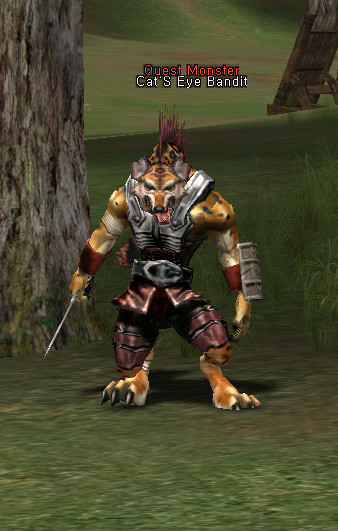 NPC Бандит Кошачий Глаз Lineage 2