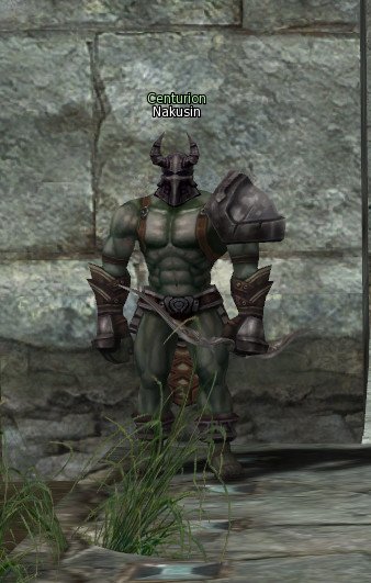 NPC [object Object] Lineage 2