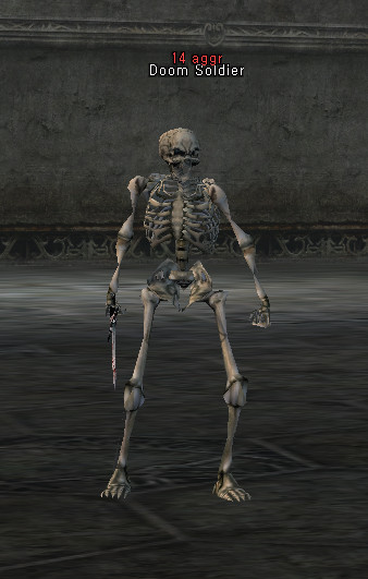 NPC Солдат Судьбы Lineage 2