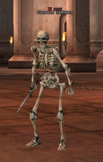 NPC Dungeon Skeleton Lineage 2