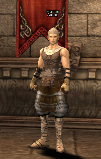 NPC Аурон Lineage 2