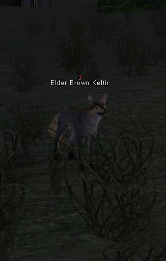 NPC Elder Brown Keltir Lineage 2