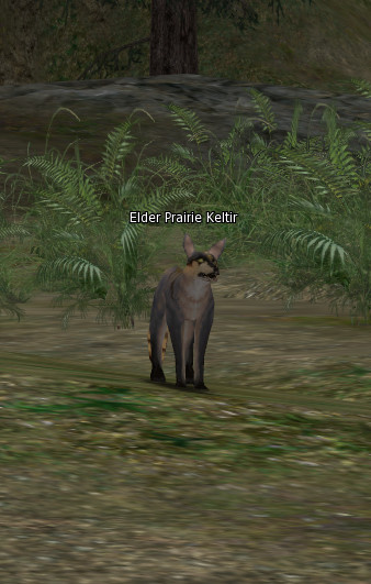 NPC Elder Prarie Keltir Lineage 2