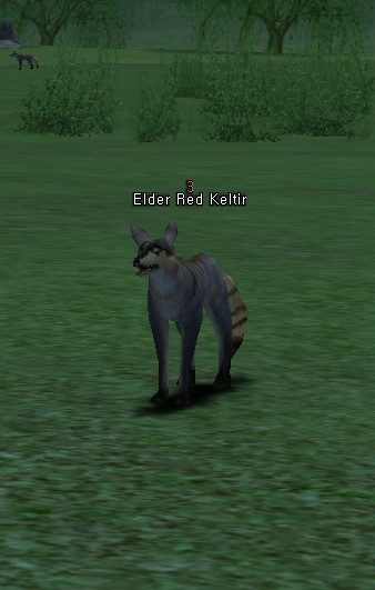 NPC Матерый Рыжий Шакал Lineage 2