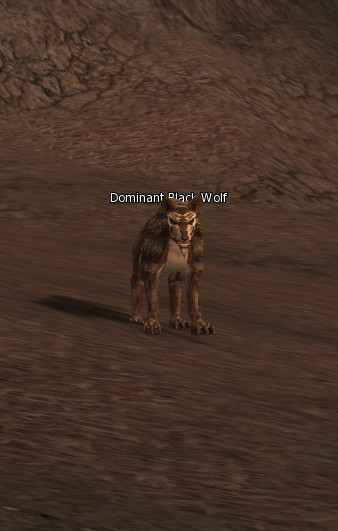 NPC [object Object] Lineage 2