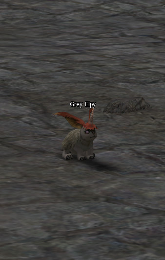 NPC [object Object] Lineage 2