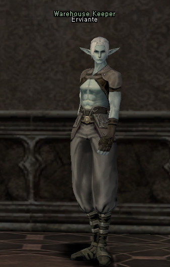 NPC Erviante Lineage 2