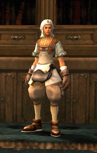 NPC Gentler Lineage 2