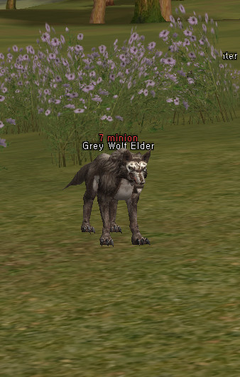 NPC Матерый Серый Волк Lineage 2