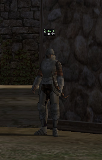 NPC Curtis Lineage 2