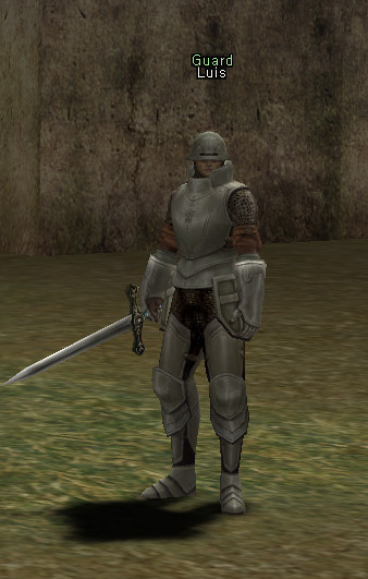 NPC Guard Luis Lineage 2