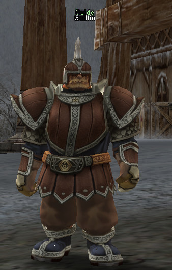 NPC Newbie Guide Lineage 2