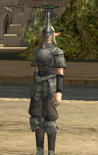 NPC Newbie Guide Lineage 2