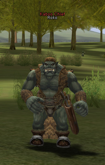 NPC Роко Lineage 2