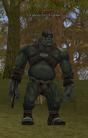NPC Боец Орков Кабу Lineage 2
