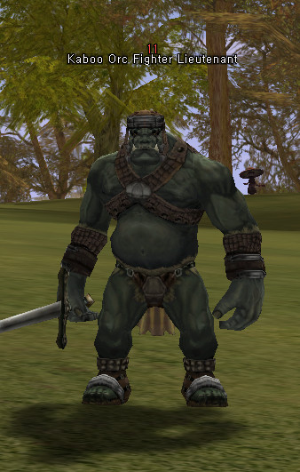 NPC Лейтенант Бойцов Орков Кабу Lineage 2