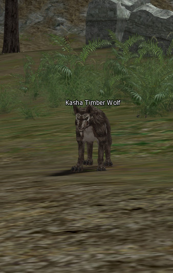 NPC [object Object] Lineage 2