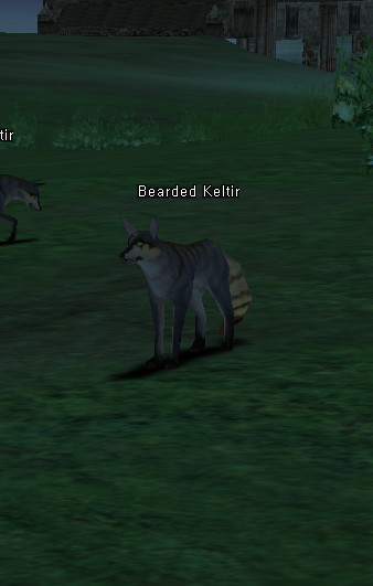 NPC Бородатый Шакал Lineage 2