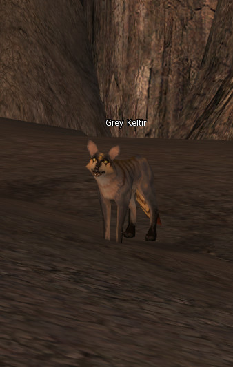 NPC [object Object] Lineage 2