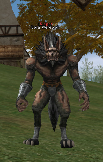 NPC Gora Werewolf Lineage 2