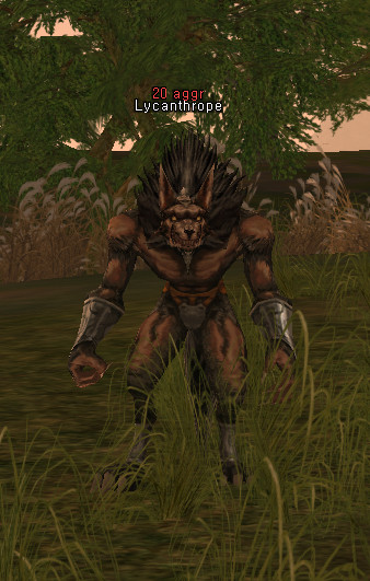 NPC Ликантроп Lineage 2
