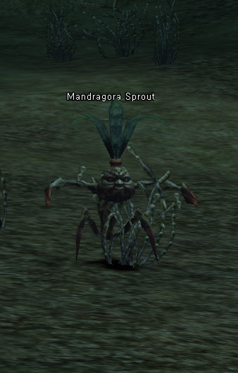 NPC Росток Мандрагоры Lineage 2