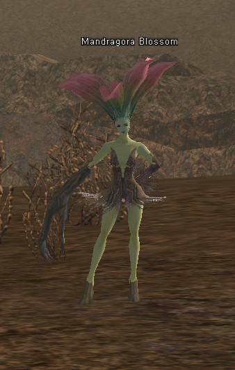 NPC Цветок Мандрагоры Lineage 2