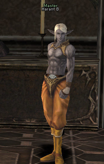 NPC Harant Lineage 2