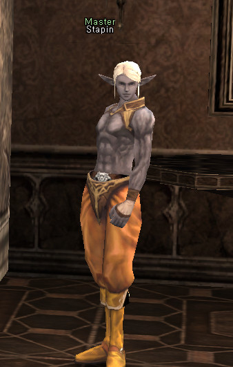 NPC Stapin Lineage 2