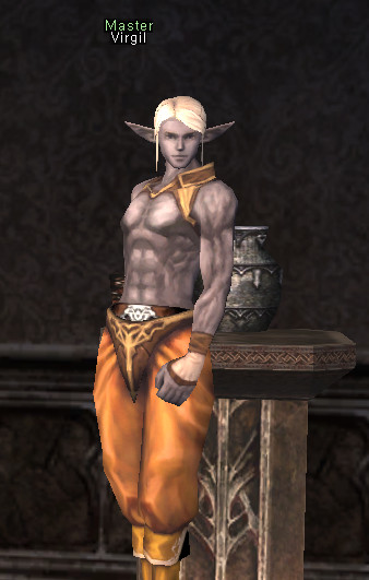 NPC Вирджил Lineage 2