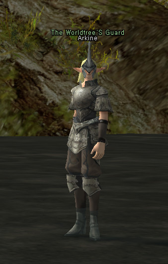 NPC Помощник Новичков Lineage 2