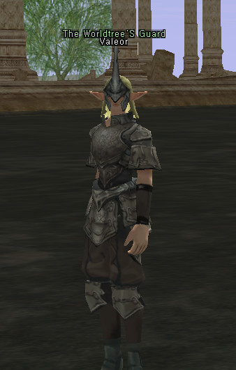 NPC Помощник Новичков Lineage 2