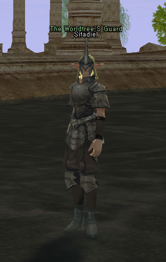 NPC Помощник Новичков Lineage 2