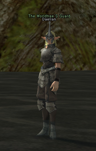 NPC Помощник Новичков Lineage 2