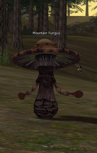 NPC [object Object] Lineage 2