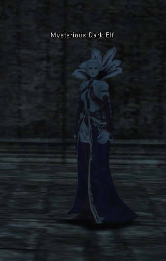 NPC Загадочный Темный Эльф Lineage 2