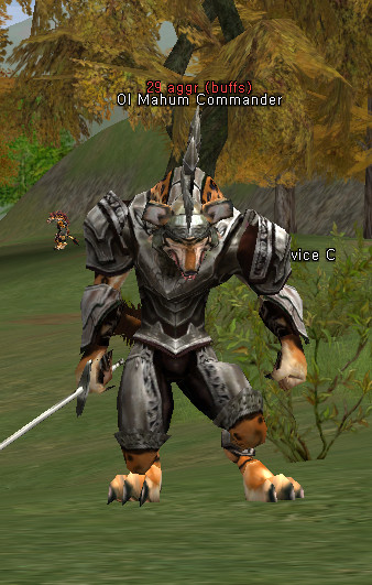 NPC Командир Гноллов Lineage 2