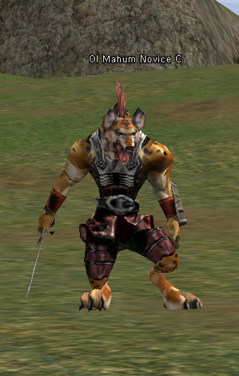 NPC Ol Mahum Novice Lineage 2