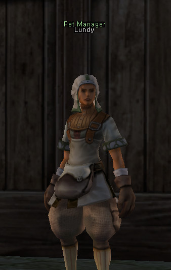 NPC Ланди Lineage 2