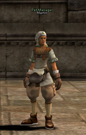 NPC Martin Lineage 2