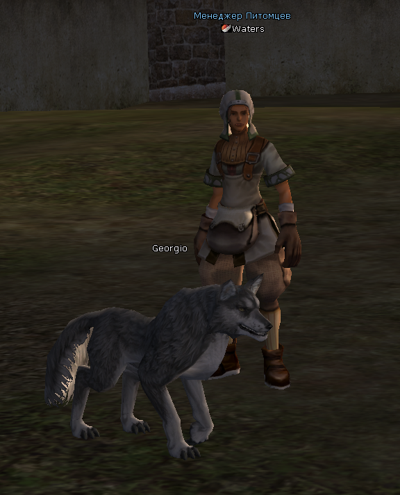 NPC Уотерс Lineage 2