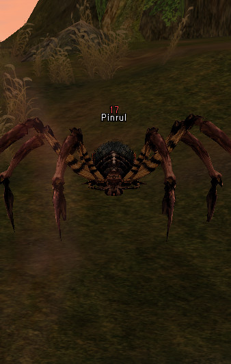 NPC Pinrul Lineage 2